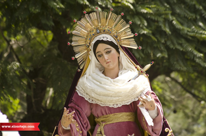 Fotos de la Virgen de la Recolección en su velación 2015