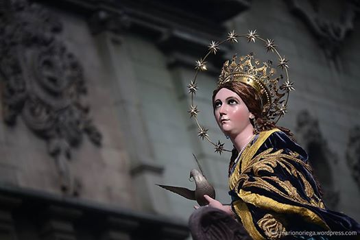 Fotos y Video Rezado Inmaculada Concepción de Catedral 2015