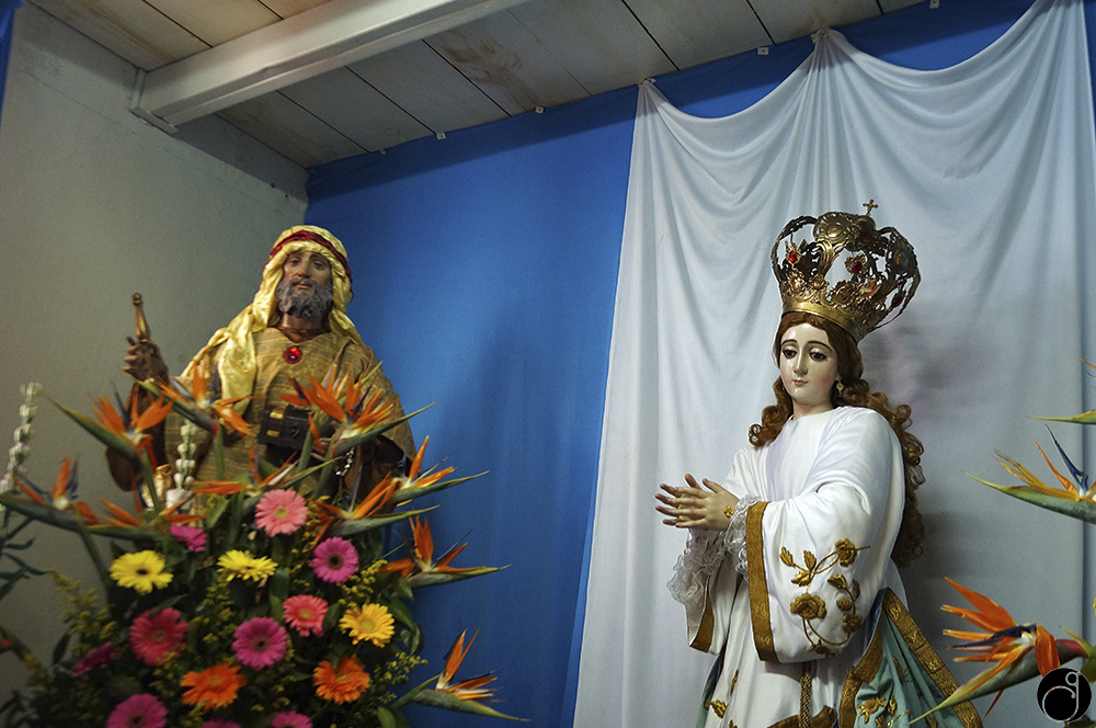 Venerando a la Inmaculada Concepción de la Divina Providencia