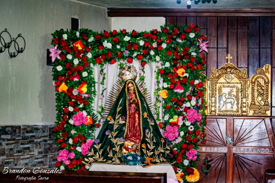Virgen de Guadalupe en Guajitos z.21